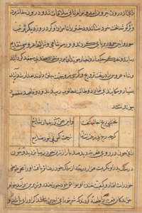 Página de Cuentos de un Loro (Tuti-nama): página de texto de Unknown artist