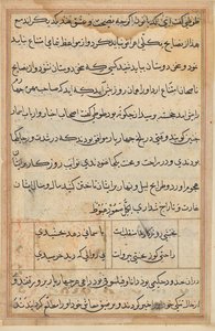 Página de Cuentos de un Loro (Tuti-nama): página de texto de Unknown artist