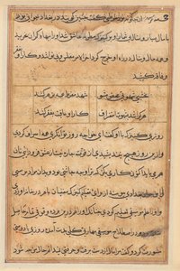 Página de Cuentos de un Loro (Tuti-nama): página de texto de Unknown artist