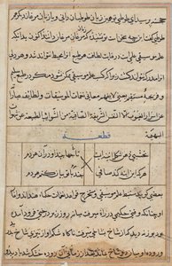 Página de Cuentos de un loro (Tuti-nama): página de texto de Unknown artist
