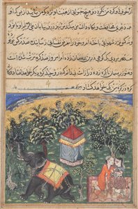 Página de Cuentos de un loro (Tuti-nama): página de texto