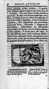 Página ilustrada por una edición de “Elogio de la locura” de Didier (Disderius) Erasmo (Erasmo de Rotterdam) de Unknown artist