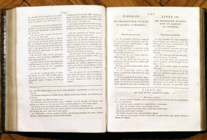 Páginas del Código Civil de Napoleón. en francés e italiano de Unknown artist