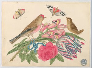 Pareja de Pájaros Marrones en Ramo con Tulipán, Rosa y Dragones, con Mariposas