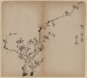 Flores de Durazno de Unknown artist