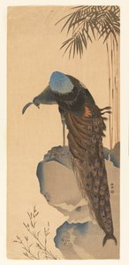 Pavo real de Unknown artist