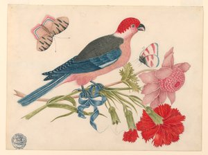 Pájaro rosa, rojo, azul y negro en rama con flores y mariposas