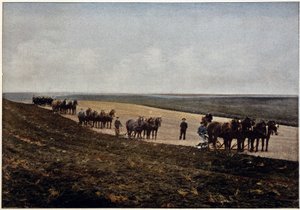 Arando en las llanuras de Manitoba (Canadá), finales del siglo XIX de Unknown artist