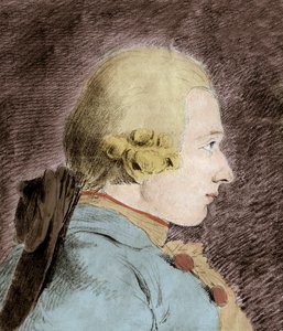 Retrato de Donatien Alphonse François de Sade (1740-1814) (Marqués de Sade) - después de Van Loo de Unknown artist