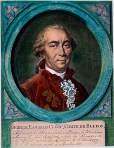 Retrato de George Louis Le Clerc, Conde de Buffon (1707-1788), naturalista y escritor francés. Grabado del siglo XVIII. Colección privada de Unknown artist