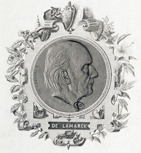 Retrato de Jean Baptiste Lamarck - grabado de Unknown artist