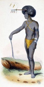 Retrato de un papúa, pueblo de Nueva Guinea. de Unknown artist