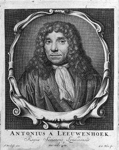 Retrato del comerciante y erudito holandés Antoine van Leeuwenhoek (1632-1723). Grabado de “Investigatio Arcanorum” 1722 de Unknown artist