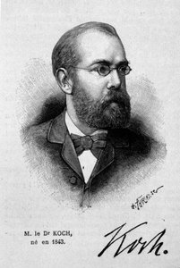 Retrato del doctor alemán Robert Koch (1843-1910)