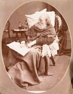 Retrato del patriota italiano y héroe del Risorgimento Giuseppe Garibaldi (1807-1882) en Caprera en 1882. Fotografía. Colección privada de Unknown artist