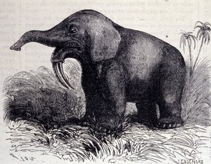 Prehistoria: representación de un Dinotherium, tipo de paquidermo