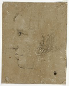 Perfil de Cabeza Masculina a la Izquierda de Unknown artist