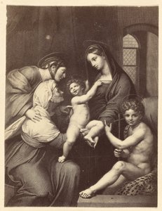 [Madonna dell
