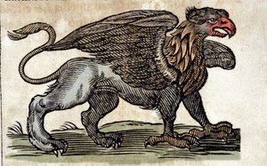Representación de un grifo, criatura fantástica mitad águila mitad león. Grabado de una obra de Athanasius Kircher (1601 - 1680), jesuita, orientalista y erudito. de Unknown artist