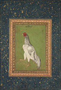 Gallo de Unknown artist