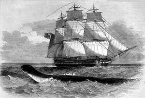 Monstruo marino: aparición de una serpiente marina en la fragata Daedalus en 1848. Grabado del siglo XIX de Unknown artist