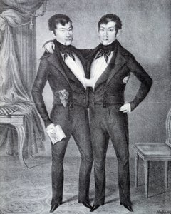 Siamés de Unknown artist
