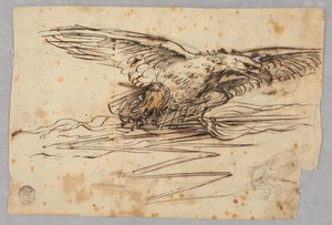 Bocetos para la representación de un águila sobre un rayo de Unknown artist