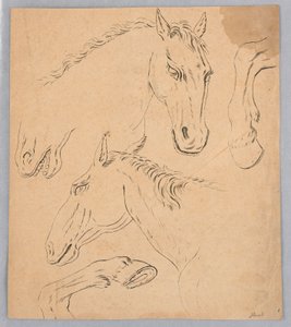 Bocetos de Cabezas y Pezuñas de Caballos
