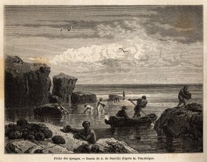 Pesca de esponjas por los isleños de la isla Anastasia de Unknown artist