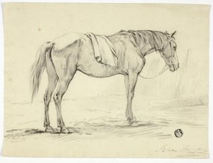 Caballo de pie de Unknown artist
