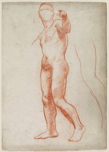 Desnudo masculino de pie
