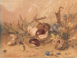 Bodegón con bellotas y castañas de Indias de Unknown artist