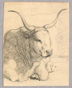 Estudio: una vaca acostada de Unknown artist