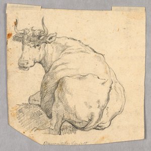 Estudio de una Vaca de Unknown artist
