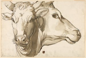 Estudio de una Vaca de Unknown artist