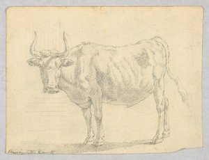 Estudio de una Vaca de Unknown artist