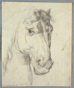 Estudio de un Caballo de Unknown artist