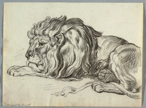 Estudio de un León de Unknown artist