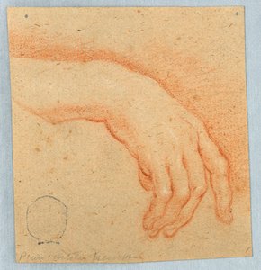 Estudio de una mano derecha de Unknown artist