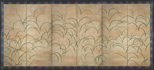 Susuki Grass