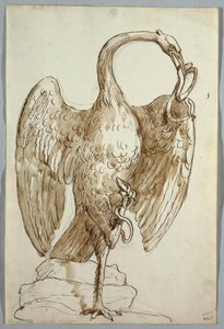 Cisne y Dos Serpientes