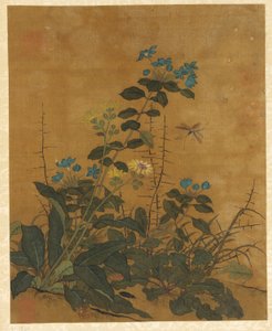 Diez imágenes de flores, frutas y pájaros de Unknown artist