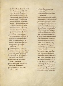 Página de texto
