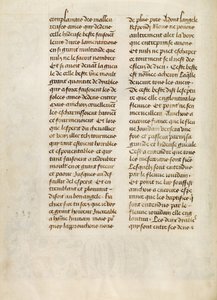 Página de texto de Unknown artist