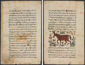 Página de texto, prosa persa (Recto); Khar (Asno) (Verso) de Unknown artist