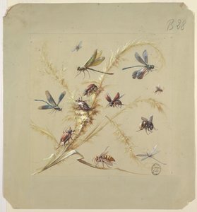 Diseño textil o de papel tapiz: insectos
