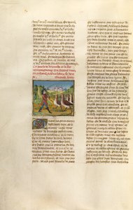 Los compañeros de Diomedes cambiados por gansos de Unknown artist