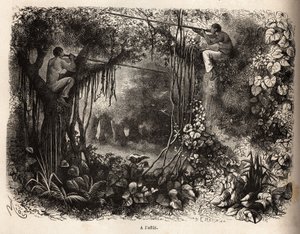 Los indios Yahua de Perú están al acecho de presas, encaramados en las ramas y armados con cerbatanas con flechas envenenadas. Grabado para ilustrar el viaje del Océano Pacífico al Océano Atlántico, a través de América del Sur, en 1848-1860 por Paul M de Unknown artist