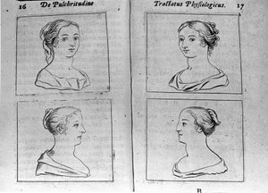 Los diferentes perfiles femeninos. Página tomada de 