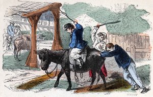 El burro en la granja. Ilustración del siglo XIX. Colección Bianchetti